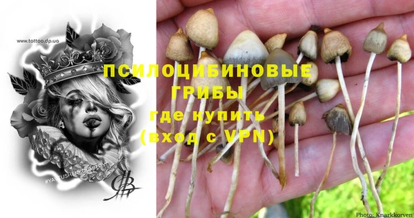 мдпв Каменск-Шахтинский