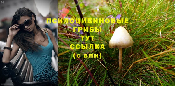 экстази Щигры