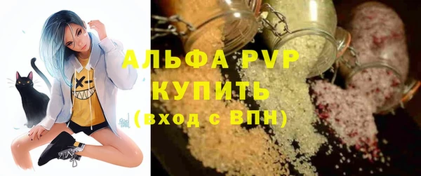 прущие грибы Щучье