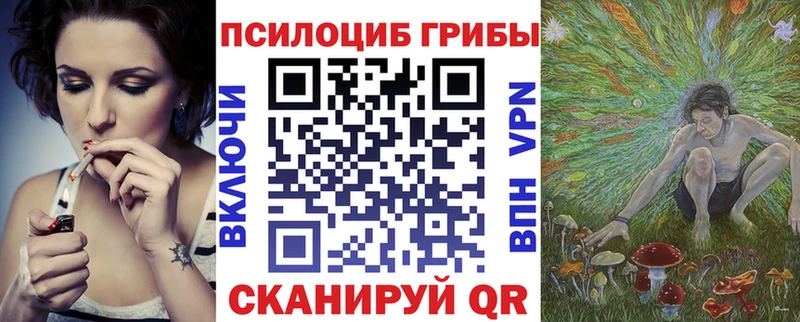 Галлюциногенные грибы мицелий  даркнет сайт  Сурск 